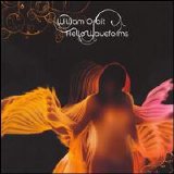 William Orbit - Hello Waveforms