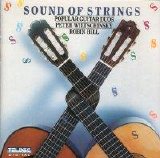 Robin Hill & Peter Wiltschinsky - Sound of Strings