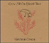 Graham Coxon - Crow Sit on Blood Tree