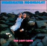 Soft Boys - Underwater Moonlight