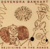 Devendra Banhart - Rejoicing in the Hands