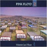 Pink Floyd - A Momentary Lapse Of Reason