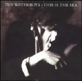 Waterboys - This Is The Sea