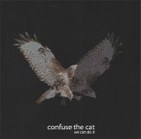 Confuse the Cat - We Can Do it