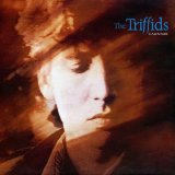 Triffids - Calenture (Expanded)