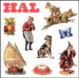 Hal - Hal