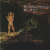 Big Sleep - Bluebell Wood (2007)