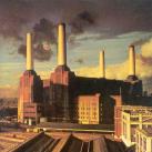 Pink Floyd - Animals