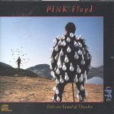 Pink Floyd - Delicate Sound of Thunder (Disc 1)