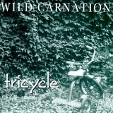 Wild Carnation - Tricycle