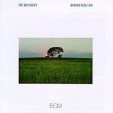 Pat Metheny - Bright Size Life