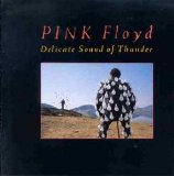 Pink Floyd - Delicate Sound Of Thunder #1