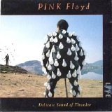 Pink Floyd - Better - Delicate Sound of Thunder