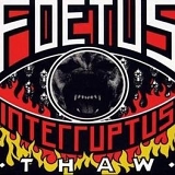 Foetus - Thaw