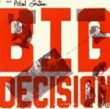 That Petrol Emotion - Big Decision