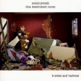 Sonic Youth - The Destroyed Room