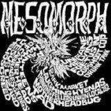 Various artists - Mesomorph Enduros