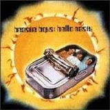 Beastie Boys - Hello Nasty