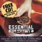 Various artists - Essential Skint