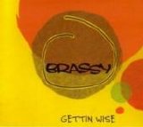 Brassy - Gettin Wise