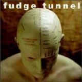 Fudge Tunnel - The Complicated Futility of Ignorance