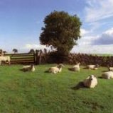 KLF - Chill Out