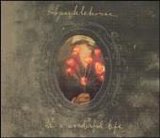 Sparklehorse - It's A Wonderful Life