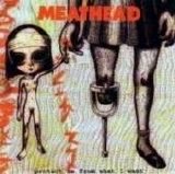 Meathead - Protect Me From What I Want