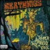 Skatenigs - What A Mangled Web We Leave