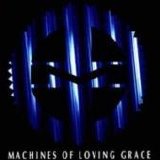 Machines Of Loving Grace - Rite Of Shiva
