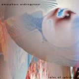 Amorphous Androgynous - Tales Of Ephidrina