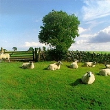 KLF - Chill Out