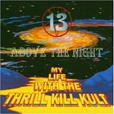 My Life With The Thrill Kill Kult - 13 Above The Night