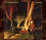 Echo & The Bunnymen - Crocodiles: 25th Anniversary Remastered & Expanded Edition