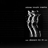 Nine Inch Nails - Down In It