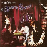 The Triffids - The Black Swan