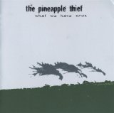 The Pineapple Thief - what we have sown