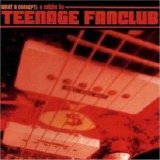 Tributo - What A Concept. A Salute To Teenage Fanclub