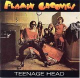 Flamin Groovies - Teenage Head