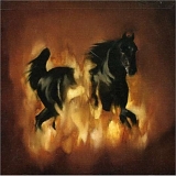 Besnard Lakes - The Besnard Lakes Are the Dark Horse