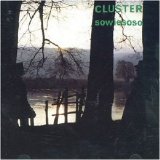 Cluster - Sowiesoso