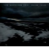 Tord Gustavsen Trio - Being There