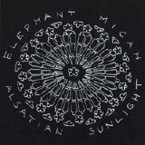 Elephant Micah - Alsatian Sunlight