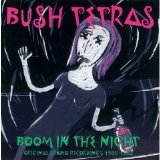 Bush Tetras - Boom in the Night