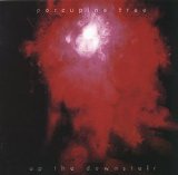 Porcupine Tree - Up The Downstair