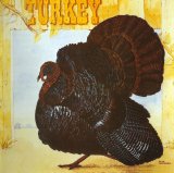 Wild Turkey - Turkey