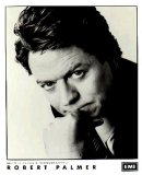 Robert Palmer - Robert Palmer 2