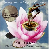 David Surkamp - Dancing On The Edge Of A Teacup