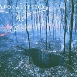 Apocalyptica - Life burns