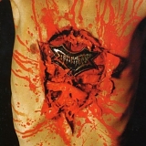 Dismember - Indecent & obscene